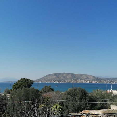 Welcome In Salamina Villa Exteriör bild